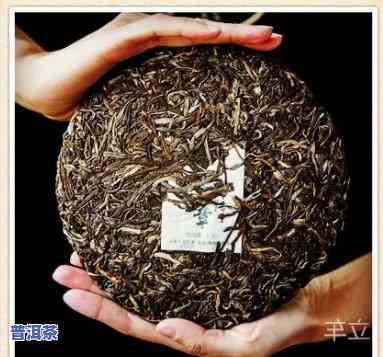 婚纱定制普洱茶多少钱一斤-婚纱定制普洱茶多少钱一斤啊