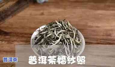 婚纱定制普洱茶多少钱一斤-婚纱定制普洱茶多少钱一斤啊