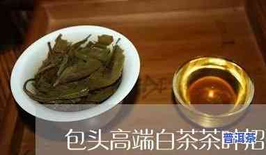 包头高端普洱茶招商-包头高端普洱茶招商电话