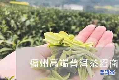 福建高端普洱茶招商电话，寻找福建高端普洱茶合作商？欢迎拨打招商电话！