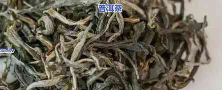 深入解析：曼松普洱茶的特别口感特点