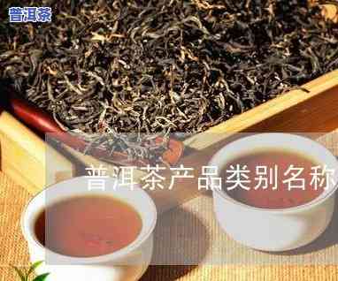 普洱茶的种类及名称全览：详细介绍各类普洱茶