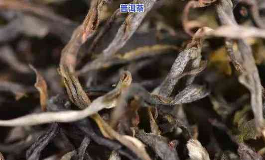 布朗山普洱茶后期转化特点-布朗山普洱茶后期转化特点是什么