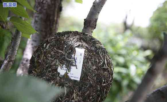 布朗山普洱茶后期转化特点-布朗山普洱茶后期转化特点是什么