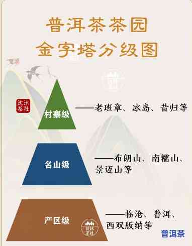 普洱茶三大产地排名榜最新图片全览，一图熟悉价格与产区信息