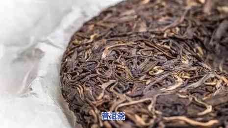 普洱茶的背景分析，深度解析：普洱茶的历史、产地与文化背景