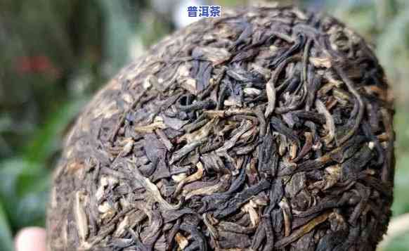 普洱沱茶属于什么茶类？详解其所属茶类型与类别