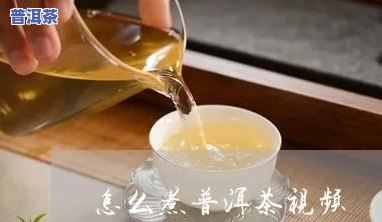 怎样煮普洱茶才好喝呢视频教程