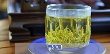 伊宁市喝普洱茶的地方在哪-伊宁哪里可以品茶