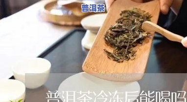 普洱茶冷冻喝可以不解冻吗-普洱茶冷冻喝可以不解冻吗为什么