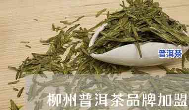 柳州普洱茶招商-柳州普洱茶招商电话