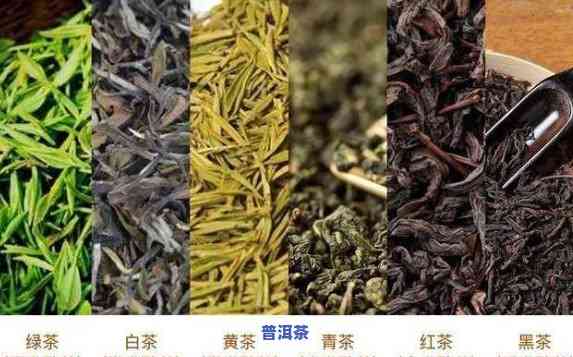 普洱茶公认大师有哪些品种？详解与图片、视频分享