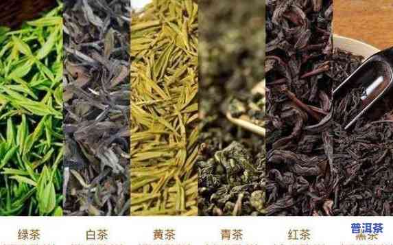 普洱茶公认大师有哪些品种-普洱茶公认大师有哪些品种图片