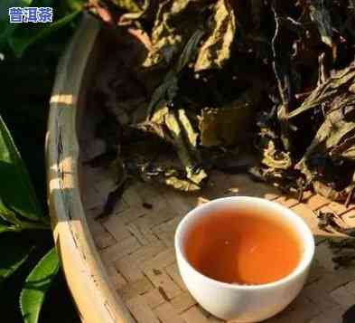 普洱茶神话故事，探秘普洱茶：从神话到现实的故事