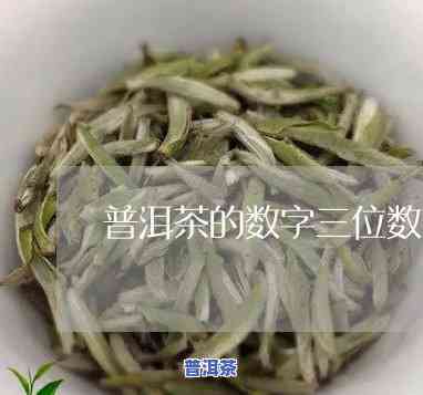 普洱茶的数字三位数-普洱茶的数字三位数是什么