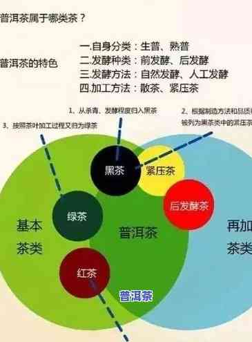 全程详解：甘肃普洱茶加盟流程视频