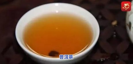 普洱茶的冲泡茶与水的比例-普洱茶的冲泡茶与水的比例是多少