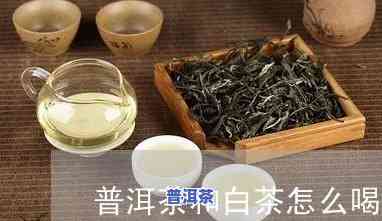 白茶和普洱茶视频讲解大全-白茶和普洱茶视频讲解大全