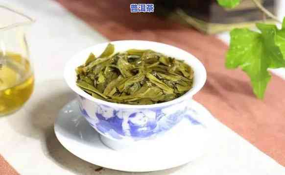 普洱茶源头供应，探索普洱茶源头供应，品味正宗原叶香