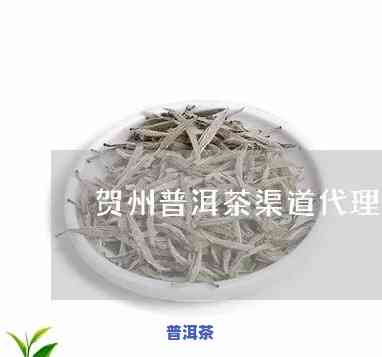 贺州普洱茶招商-贺州普洱茶招商电话