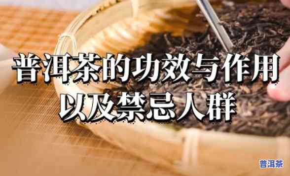 普洱茶的功效与做法及禁忌及副作用，全面解析：普洱茶的神奇功效、传统制作方法、饮食禁忌与潜在副作用