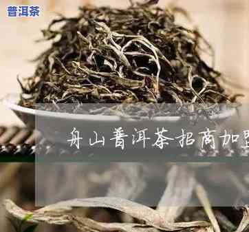 舟山可靠普洱茶招商-舟山可靠普洱茶招商电话