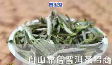 舟山可靠普洱茶招商-舟山可靠普洱茶招商电话