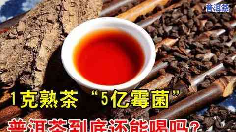 普洱茶闻起来有霉味可以喝吗，普洱茶的霉味会作用口感和健康吗？