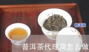 撰写普洱茶招商加盟方案：策略、步骤与技巧