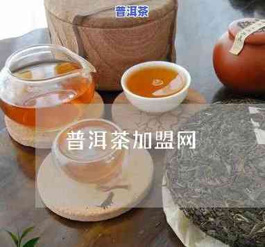 佛山知名普洱茶招商-佛山知名普洱茶招商电话