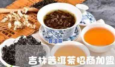 吉林普洱茶怎么代理的，怎样成为吉林普洱茶代理商？详细步骤解析！