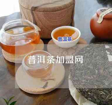 惠州普洱茶渠道招商-惠州普洱茶渠道招商电话