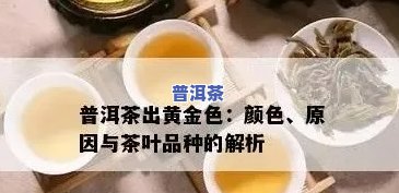 普洱茶黄色的是什么？详解黄茶与普洱的区别