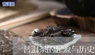 普洱茶起源于哪一年？探究其起源和发展历程