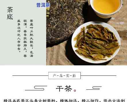 普洱茶8581是什么品种？