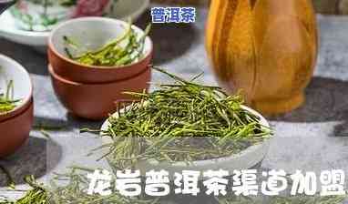 龙岩普洱茶招商电话及联系方法大全