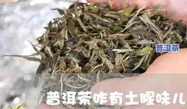 普洱茶咋有土腥味呢怎么办，解决方法：怎样去除普洱茶的土腥味？