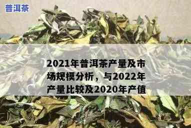 2021年各省普洱茶产量多少，揭秘2021年全国各省份普洱茶产量数据