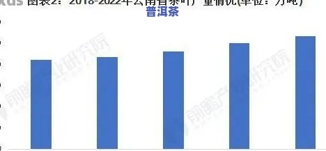 2021年各省普洱茶产量多少，揭秘2021年全国各省份普洱茶产量数据