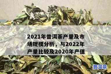 2021年各省普洱茶产量统计，2021年：揭秘全国普洱茶产量大省，你的省份上榜了吗？