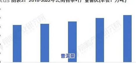 2021年各省普洱茶产量统计，2021年：揭秘全国普洱茶产量大省，你的省份上榜了吗？