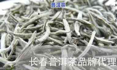 长春普洱茶渠道招商-长春普洱茶渠道招商电话