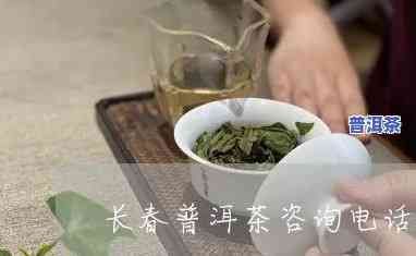 长春普洱茶渠道招商-长春普洱茶渠道招商电话