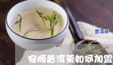 安顺普洱茶招商加盟电话及相关信息查询