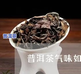 味蕾上的普洱茶是什么味道-味蕾上的普洱茶是什么味道的