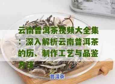 云南普洱茶的渊源是什么呢视频，探秘云南普洱茶的历史根源：一段视频带你熟悉其深远渊源