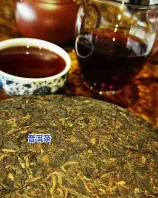 揭秘选普洱茶四大秘诀视频播放：完整教程与下载链接