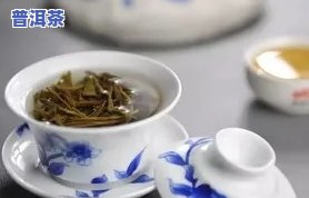 揭秘选普洱茶四大秘诀视频播放：完整教程与下载链接