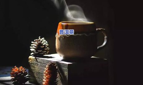 揭秘选普洱茶四大秘诀视频，揭秘！选普洱茶的四大秘诀都在这个视频里了！