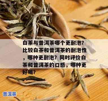 普洱茶和古树白茶哪个好喝点，口感对决：普洱茶与古树白茶，谁更胜一筹？